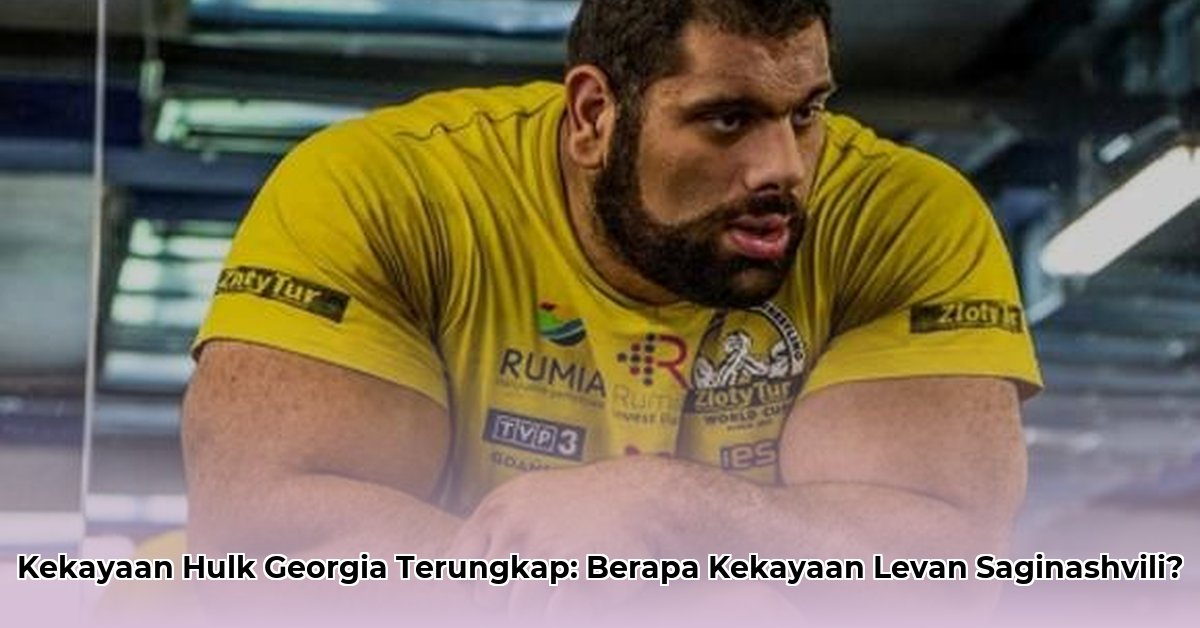 levan saginashvili net worth